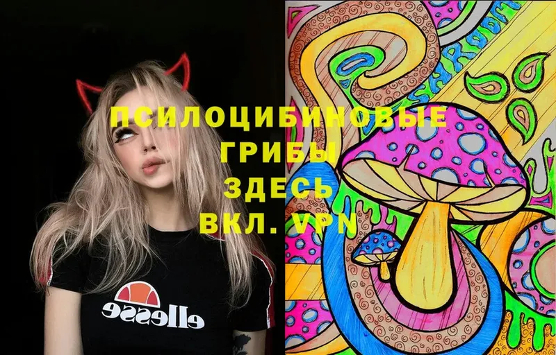 Галлюциногенные грибы Magic Shrooms  где можно купить   Фролово 